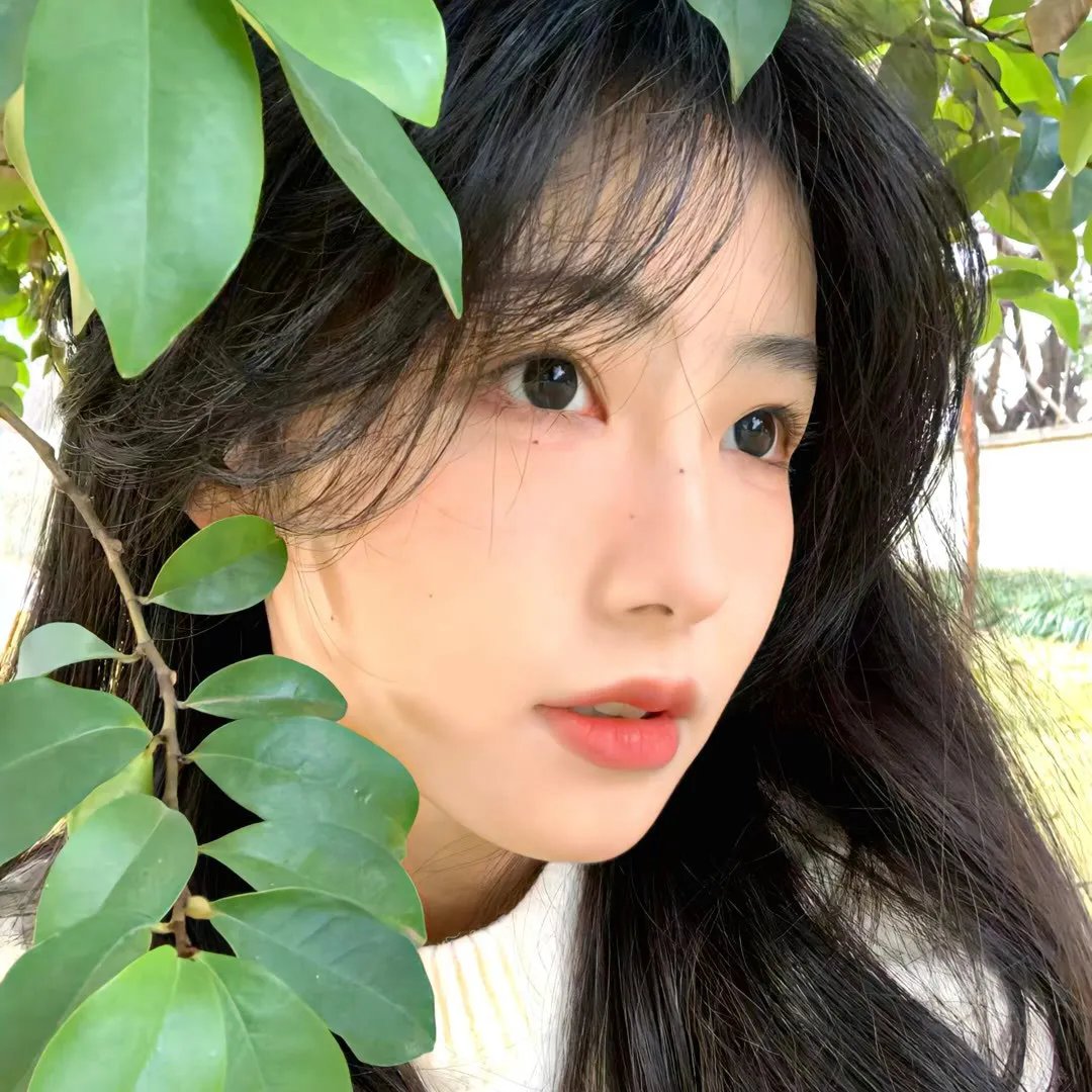 巴里穆迪
